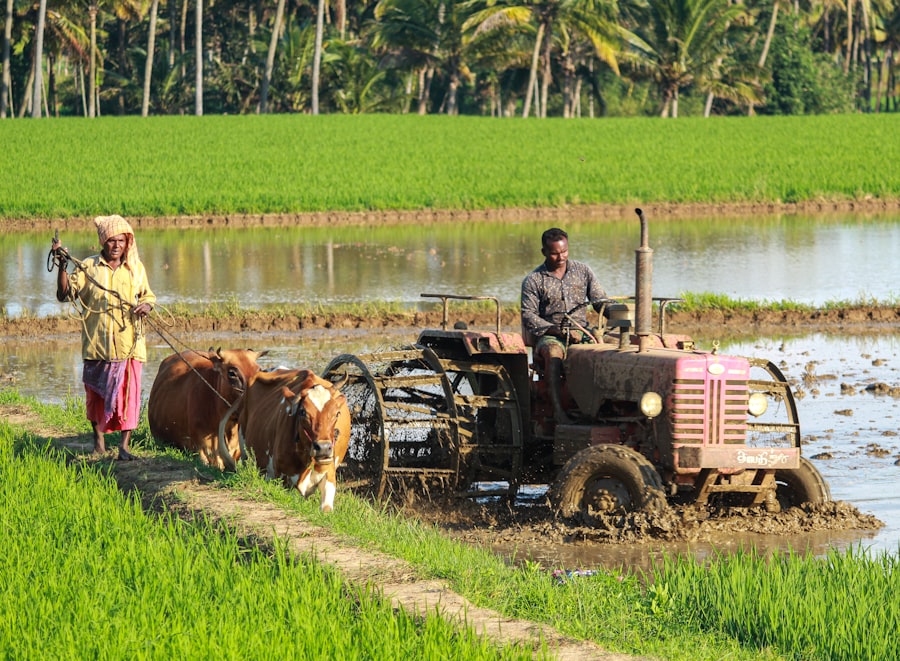 Farmer with tractor in a paddy field, representing the agricultural sourcing origins of Ximex Overseas